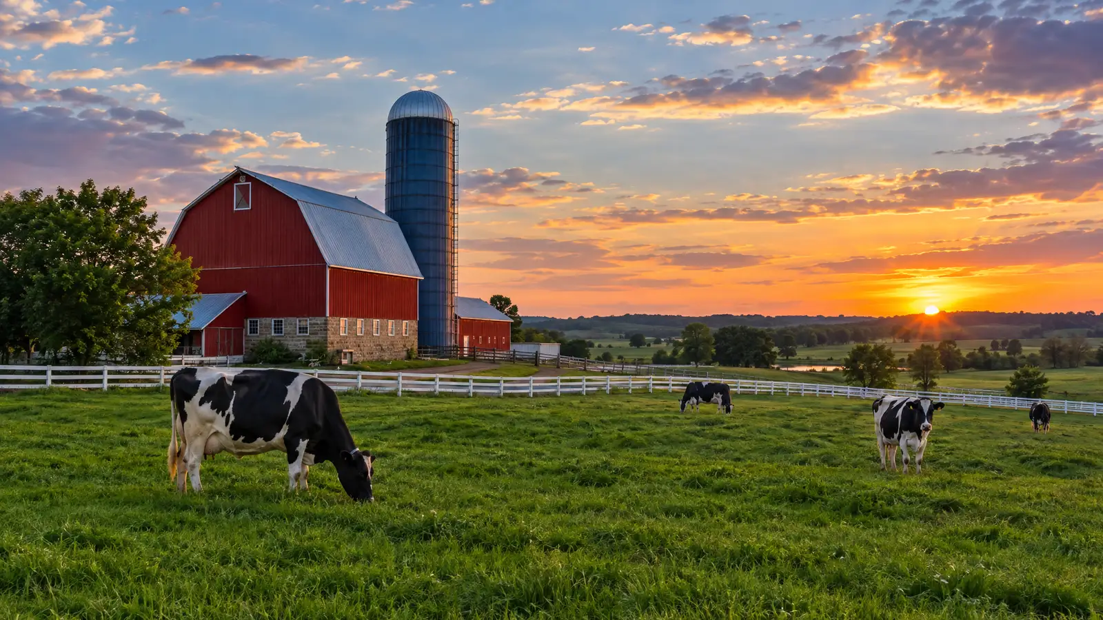 A neighborhood scene from Marshall, WI